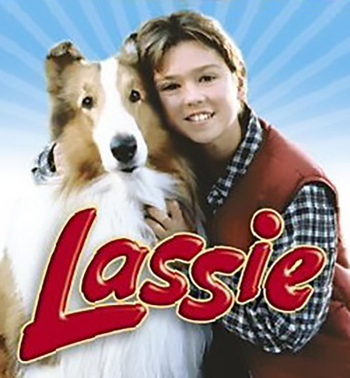 Read more about the article Lassie